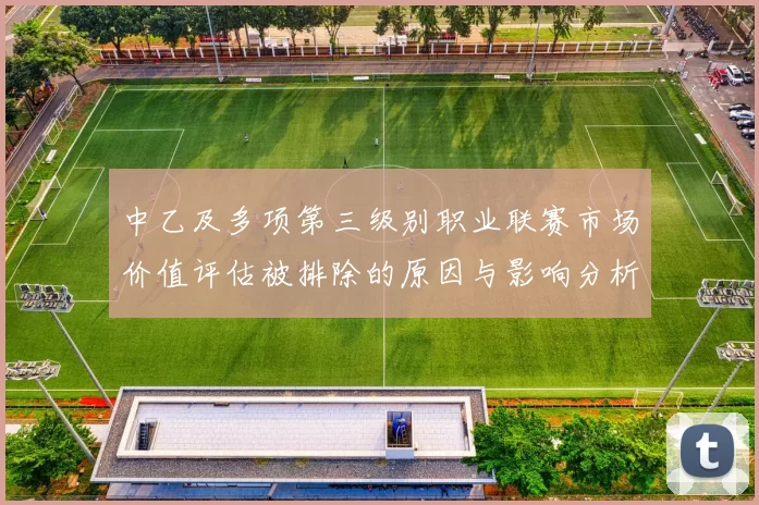 中乙及多项第三级别职业联赛市场价值评估被排除的原因与影响分析